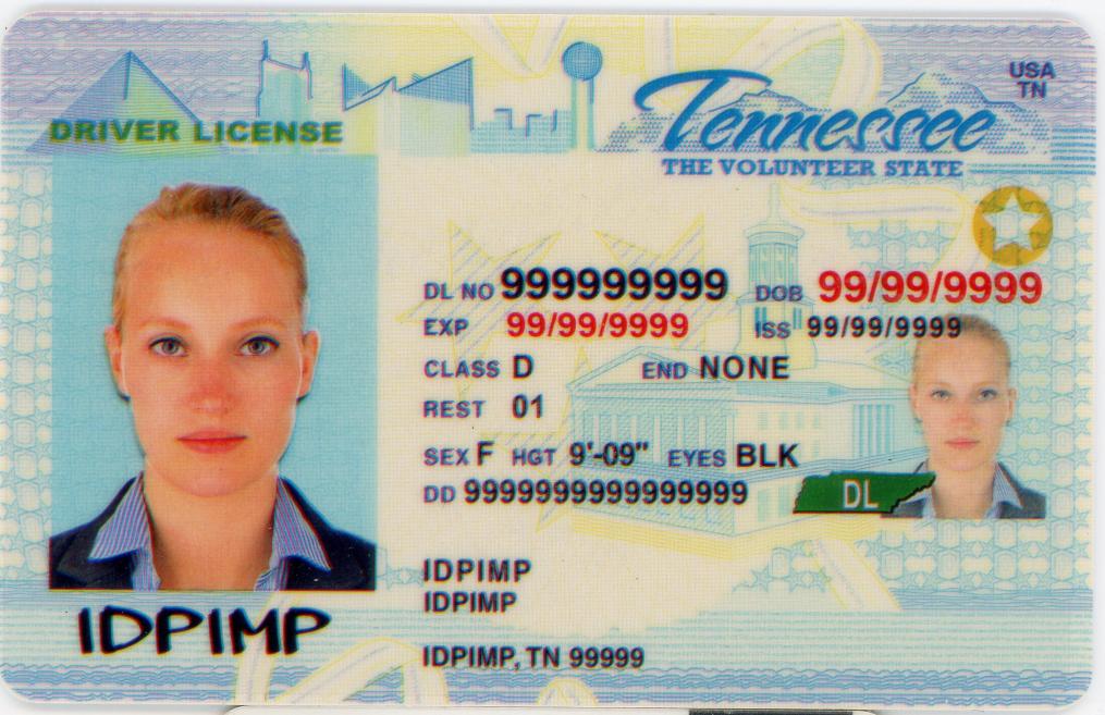 Fake driver license Tennessee - IDPimp Fake id