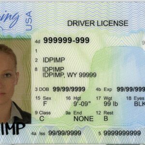 Fake driver license Wyoming