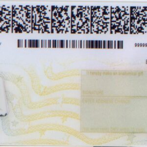 Fake driver license New York